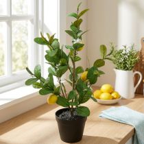 kohteita Keinotekoinen sitruunapuu ruukussa, 65 cm, koristekasvi, tekokasvi
