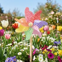 kohteita Pinwheel koristeena tuulimylly pieni kepissä värillinen Ø14cm 30cm