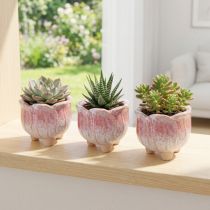 kohteita Mini istutuskone keraaminen ruukkukukka lajitelma Ø8cm K7cm 3kpl