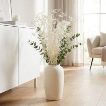 kohteita Sarjakukat (Umbellifera) Valkoinen 70-80cm 150g