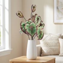 kohteita Begonia Keinotekoiset kasvit Lehti Begoniat Vihreä Purppura 62cm