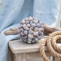 kohteita Koristeellinen pallo, simpukkakuvio, luonnollinen merellinen koriste, Ø19cm