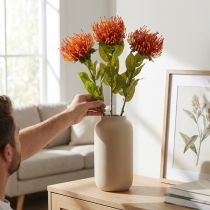 kohteita Neulatyyny eksoottinen tekokukka appelsiini Leucospermum Protea 73cm 3kpl