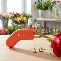 kohteita Ruusunpiikkienpoistaja ruostumattomasta teräksestä, piikitön, 80ES, oranssi kukkakaupoille