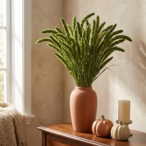 kohteita Kuivatut kukat, Setaria Pumila, harjas hirssivihreä 75cm 200g