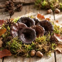 kohteita Kalix Mushroom Natural Lakattu Kuiva Sienet Koriste Suuri 50 kpl