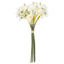 kohteita Narsissiksen oksa sesongin hääasetelmiin, kaunis, 33 cm, 6 kpl