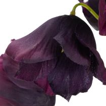 kohteita Fritilarian aidonnäköinen kopio tyylikkäisiin asetelmiin ja kimppuihin 78 cm