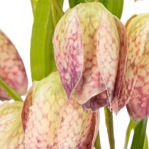 kohteita Keinotekoinen fritillarykukka, herkkä koriste olohuoneisiin, 60 cm, 3 kpl