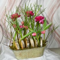 kohteita Kevätkoriste kukkaruukku soikea metallinen kasvikulho kahvoilla vintage 28×15cm