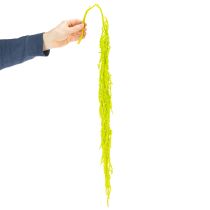 kohteita Kuivattuja ketunhäntäkukkia, värjättyjä, kodin sisustukseen ja ainutlaatuisiin yksityiskohtiin, 100 cm, 5 kpl