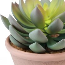 kohteita Mehikasvi ruukussa Echeveria keinovihreä vintage Ø15cm K16cm