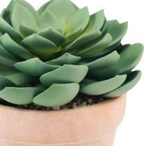 kohteita Mehikasvi ruukussa Echeveria tekovihreä Ø15cm