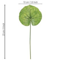 kohteita Galax Urceolata Lehdet Keinovihreä Ø10cm L23cm 12 kpl