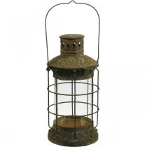 Puutarhan koristeritilä, puutarhalyhty, metallilyhty Ø17cm K33cm