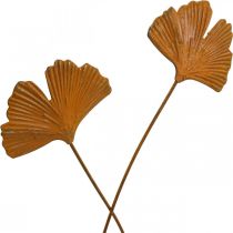 Puutarhapiippu ruoste gingko-lehtipenkki 7x5cm 6kpl