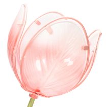 kohteita Puutarhakoristeinen tulppaani kukkapenkkeihin ja reunoille 94 cm