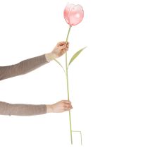 kohteita Puutarhakoristeinen tulppaani kukkapenkkeihin ja reunoille 94 cm