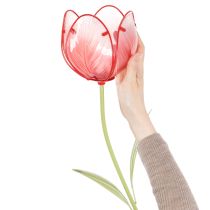 kohteita Lasinen tulppaanipuutarhakeppi - Kaunis koriste puutarhaan ja parvekkeelle, 94 cm