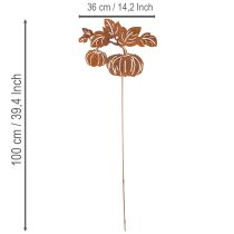 kohteita Puutarhakeppi kurpitsa-aiheella, metallikoristeet, ruosteenvärinen, 100 cm