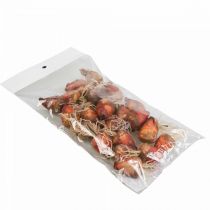 kohteita Kasviskoristelu minijuurikkaat keinotekoiset Ø2,5cm K3,5cm 24 kpl