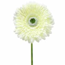 kohteita Gerbera tekovalkoinen 62cm 6 kpl
