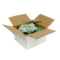 kohteita Kukkaputket 15 x 1,5 cm, 100 kpl