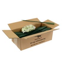 kohteita Järjestelyputket 30cm x 1,5cm 100 kpl