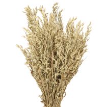 kohteita Kuivattu kaura koristeellinen kauraterttu luonnollinen koristenippu 60cm 200g