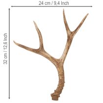 kohteita Keinotekoiset sarvet, elävän näköiset, maalaismaiset, 32 cm