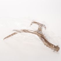 kohteita Keinotekoiset sarvet, elävän näköiset, maalaismaiset, 32 cm
