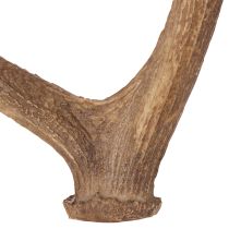 kohteita Koristeelliset tekosarvet, maalaismainen mökkikoriste, 50 cm