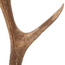 kohteita Koristeelliset tekosarvet, maalaismainen mökkikoriste, 50 cm