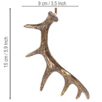 kohteita Maalaismaiset sarvikoristeet seinälle tai puuhun, 15 cm, 6 kpl