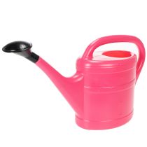 kohteita Vaaleanpunainen kastelukannu, 5l