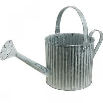 kohteita Kastelukannu istutukseen, koristeellinen metallikannu, istutuskone Ø19,5cm