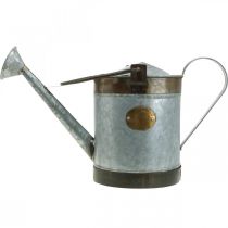 kohteita Retrohenkinen koristeellinen metallinen kastelukannu, vintage-riippuruukku 58x23x32cm, nostalginen kasviämpäri