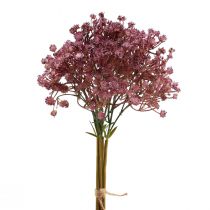 kohteita Gypsophila Gypsophila Gypsophila tekovioletti 35cm 5 kpl