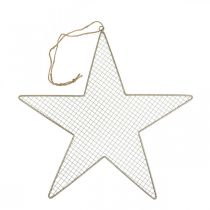 Metal Star Mesh Deco Star Metal Deco Gold Ø47cm