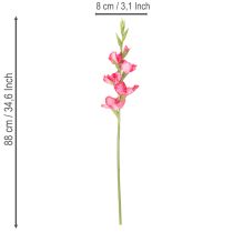 kohteita Keinotekoinen gladiolaas koristeellisilla kukilla, 88cm
