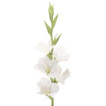 kohteita Keinotekoinen gladiolus, pitkävartinen, maljakoihin, 88 cm