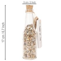 kohteita Lasipullokoriste simpukoilla ja riipuksella, merellinen pöytäkoriste, 17 cm, 2 kpl