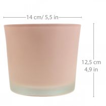Kukkaruukun lasiistutin vaaleanpunainen lasiallas Ø14,5cm K12,5cm