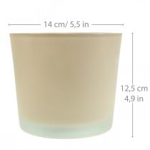 kohteita Lasinen kukkaruukku beige istutusruukku lasiruukku Ø14,5cm K12,5cm