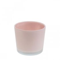 Kukkaruukun lasiistutin vaaleanpunainen lasiallas Ø10cm K8,5cm