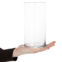 kohteita Korkea lasimaljakko, yksinkertainen lasisylinteri kukkamaljakoksi tai koristelasiksi, 20 cm