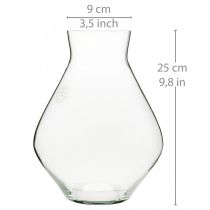 Kukkamaljakko lasinen sipulilasimaljakko kirkas koristemaljakko Ø20cm H25cm