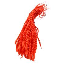 kohteita Kultainen Tendril Orange 50 kpl
