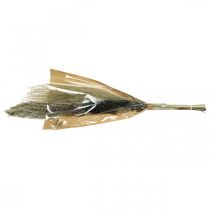 kohteita Kuivatut ruohot nippuna Kuiva floristiikka Kuivakimppu K70cm