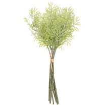 kohteita Koristeellinen parsanoksa, luonnollinen lisä kukkakimppuihin, 34 cm, 7 kpl